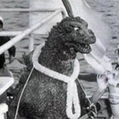 maxwellghidorah's profile picture. NOT ur average private account!