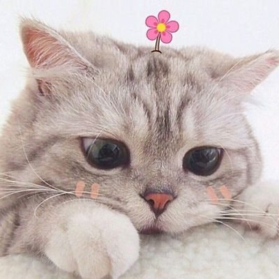 Natkritta004's profile picture. ⓘ 𝗣𝗶𝗻𝗴𝗞𝗿𝗶𝘁𝘁𝗮𝗻𝘂𝗻,𝗧𝗲𝘀𝗵𝗼𝘄,𝗧𝗹𝗲𝗙𝗶𝗿𝘀𝘁𝗼𝗻𝗲

(fan account)