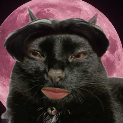 enhasoul_'s profile picture. @ENHYPEN_members #OT7 FREE 🇵🇸