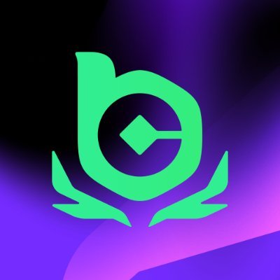BCGameEsports's profile picture. Rulebreakers & Gamechangers. Your new favorite team. | 📩 contact@bcgameesports.com