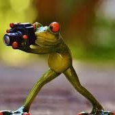 MUSTAFA_SAUDI33's profile picture. 