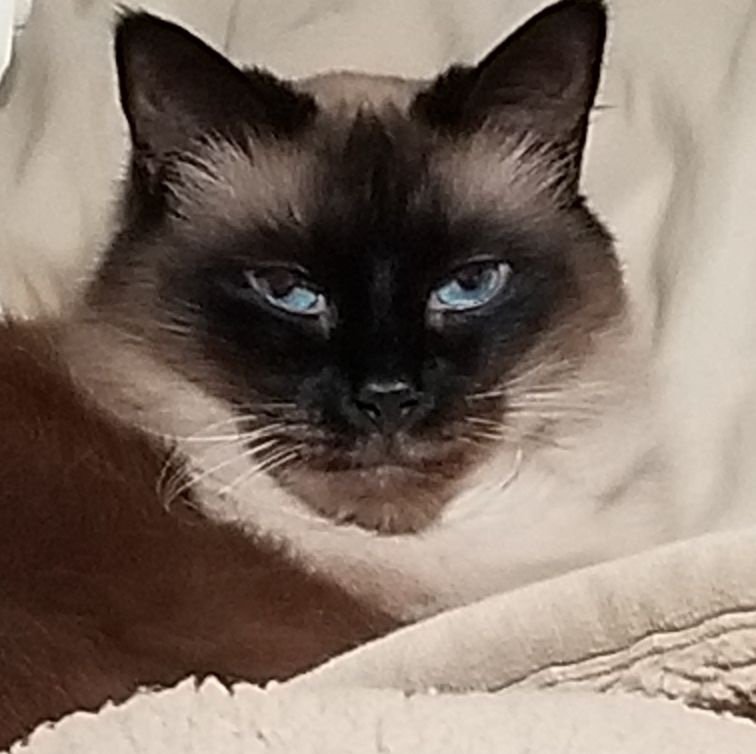 ShirleyLMiller2's profile picture. 
