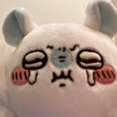 @kurosiameme
