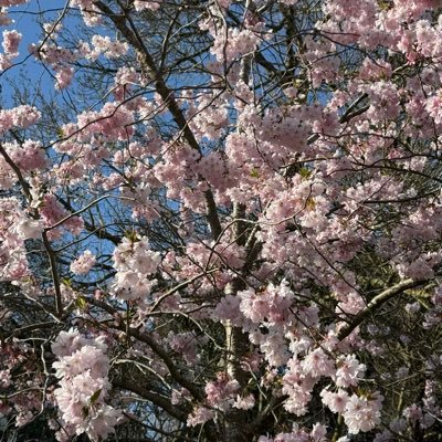 AlamSazrin64848's profile picture. I’m an artist splashing colors and data.