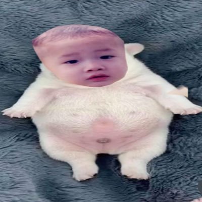 lvsscnnie's profile picture. ୭ ㅤ𝆬 I never knew somebody like youㅤ𓈒 @ssamuwoni ' ༉‧₊˚(..◜ᴗ◝..) chnnie omega