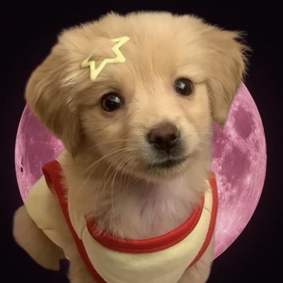 mairoolawja😭さんのプロフィール画像