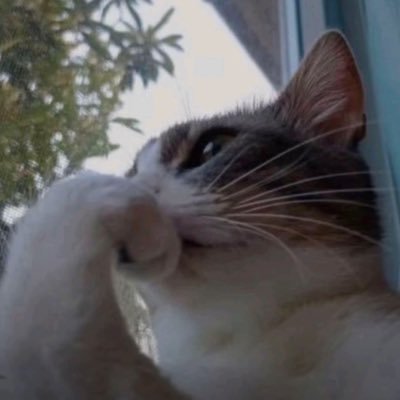 kahroldumamk's profile picture. 