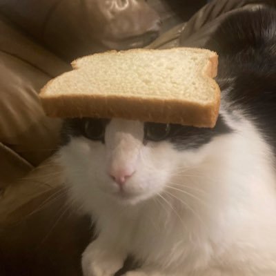 saulballlebron's profile picture. Hype moments and aura 🪙| Fortnite | pokemon | Dark souls 3 | Cyberpunk | Persona | MONKEY D. LUFFY | Devil May Cry | LeBron Giannis Klaw Russ Wemby fc| DM Open
