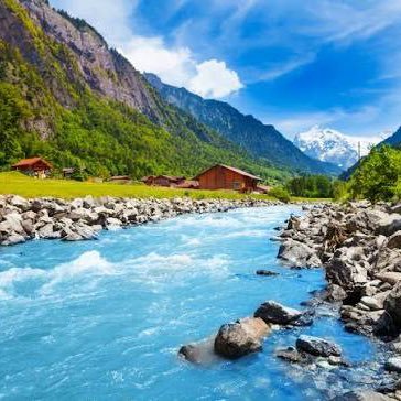 delicocuk987's profile picture. 