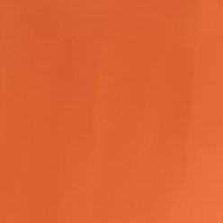 seta_2024's profile picture. 