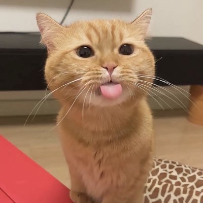 Ruby_jiji00's profile picture.