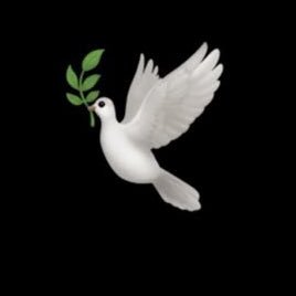 ChristIsAllOne's profile picture. 🕊️🎁🎄The most V-aluable app on Self: “The Holy Spirit .. begins with the lesson: To have, give all to all. “ -Jesus-Christ https://t.co/21yUkkgx8z