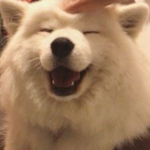 DaSilva18609's profile picture. 