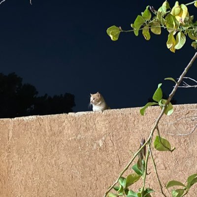 byRasis's profile picture. #include