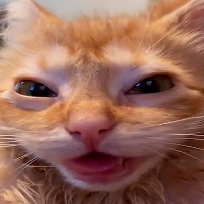 Kiruna_web3's profile picture. 