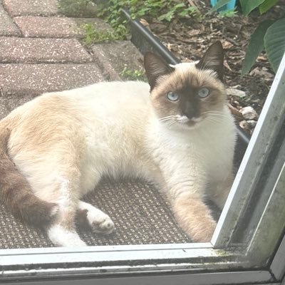 power_nines's profile picture. 