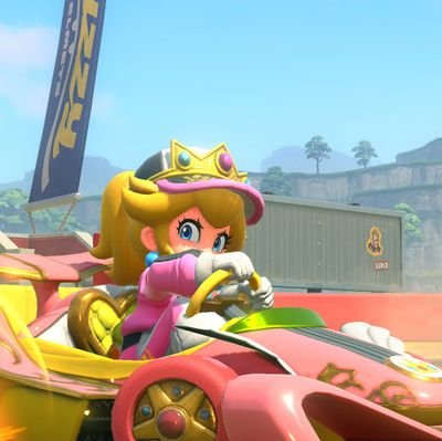 skibiditorped0's profile picture. I like to do game photography