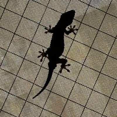 kumasyu0626's profile picture. 19 糸島