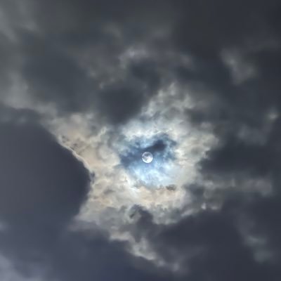 MuratKo5101555's profile picture. 