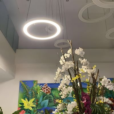 wizardmni000's profile picture. 