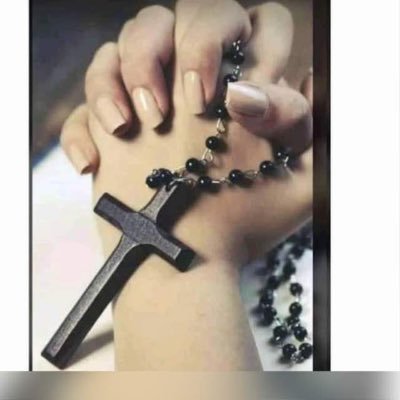 sammy__4199's profile picture. not giving up