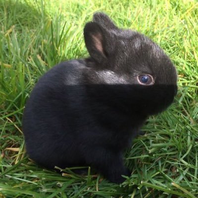 TwoTwo000540's profile picture. 中文/ENG ｜Call me TWO /两｜ A little bit nsfw🔞｜18+