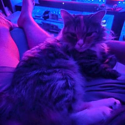 MrSnorlax91's profile picture. dead inside but still alive