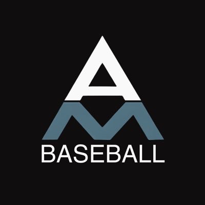 AllianceBSBL's profile picture. Full service sports agency guiding and advising MLB players build their legacies. Partner of Alliance Sports | Recruiting contact: @RileyCarterAMG