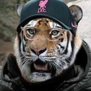 trsynwax's profile picture. 
