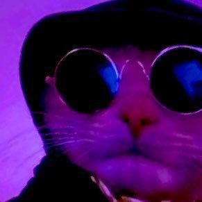 n0t_pop's profile picture. not a cat. Bears, White Sox, Bulls, Blackhawks, Tar Heels, Fighting Irish… 🇺🇦