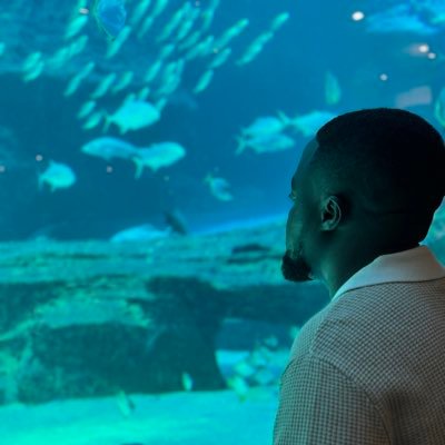 HlogiMolewa's profile picture. Building, believing, becoming. 🌍 Tech, vision, and a bit of sweat. ⚙️💡 Faith fuels it. Sport sharpens it. Life inspires it. ✝️🔥