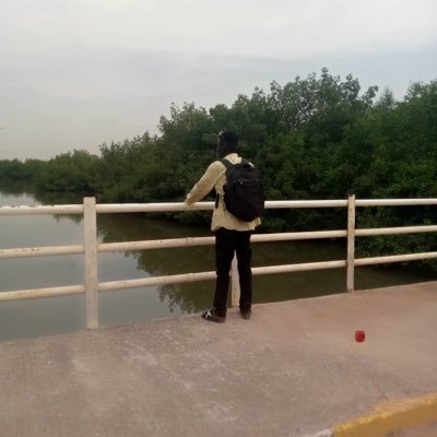 laminsowe88876's profile picture. 