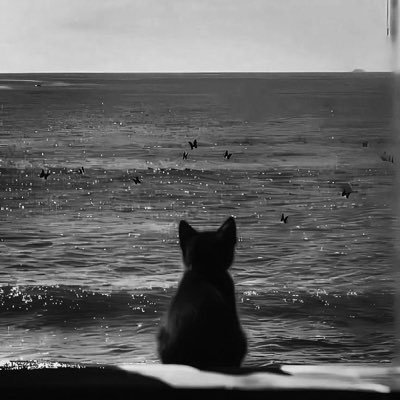 HeuiL8211's profile picture. 독일 유학생