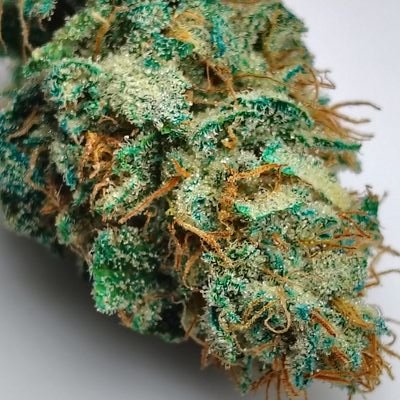 @space__budz
