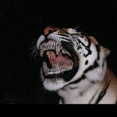 NicoleSara3986's profile picture. 