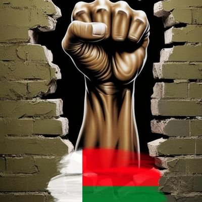 savio_patrice's profile picture. 🇲🇬 Je suis Malagasy