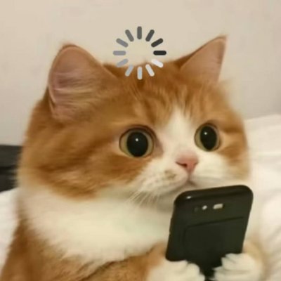 Xipezyyy's profile picture. bnb dev arc. | @anthraxone @offgridcash