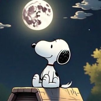 floopyfn's profile picture. 🔜