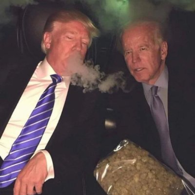 LapelisMar75628's profile picture. 🍄