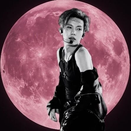 allmylovehee's profile picture. love of my heart heeseung ♡
ot7 heejakewon biased ☆
🇪🇸 engene based in 🇮🇹 • 24 yo • saw enha in 🇲🇫 paris 030925