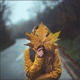 alcarolubo98855's profile picture. Gods determine what you're going to be。