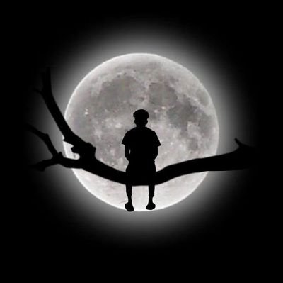 zyntra230071's profile picture. 