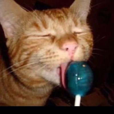 yyee49's profile image
