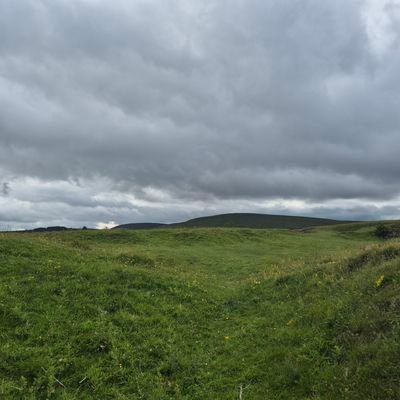 Rapscalious's profile picture. 