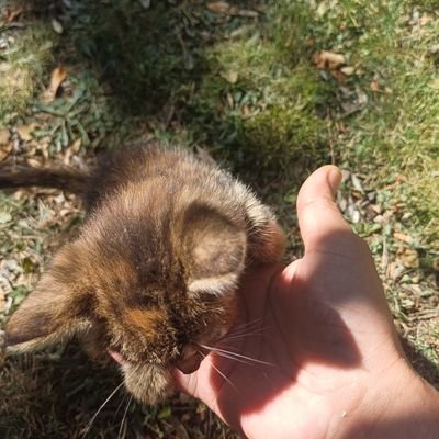 hsynkck1071's profile picture. Kimisi kene gibi Devletin kanını emerek  yaşar !
Kimisi ise de vatanı için ölür karşılıksız!
Allah'ın düşmanlarına, düşmanlığım var.