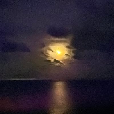 CoachJamaafx81's profile picture. 