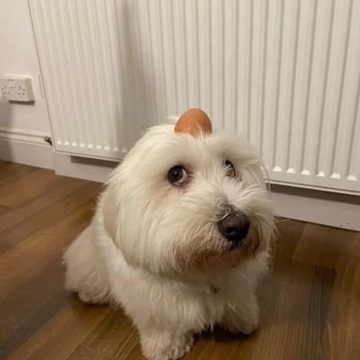 Ridho387475's profile picture. 