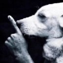 Elijah Brehm - @SaladConjuror - Twitter