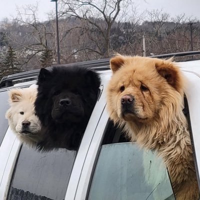 trynakeepfaith's profile picture. glo in peace