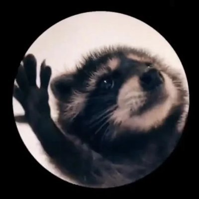 fa11enafter's profile picture. 